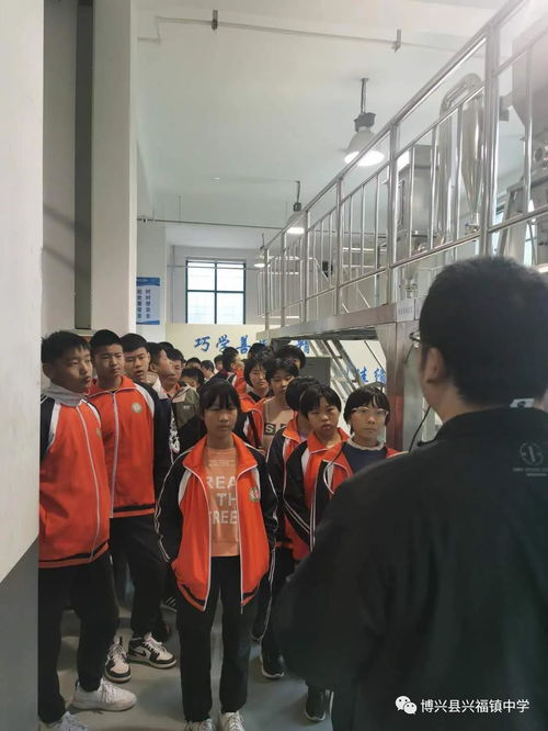 強(qiáng)化實(shí)踐育人意識(shí),完善實(shí)踐教學(xué)體系 興福鎮(zhèn)中學(xué)初二學(xué)生社會(huì)實(shí)踐活動(dòng)紀(jì)實(shí)